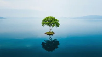 Tim Godfrey Ekwueme ft Fearless Community